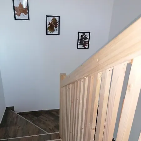 Apartment Nikolica Kuca Mitrovac