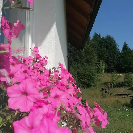 Nikolica Kuca Apartment Mitrovac