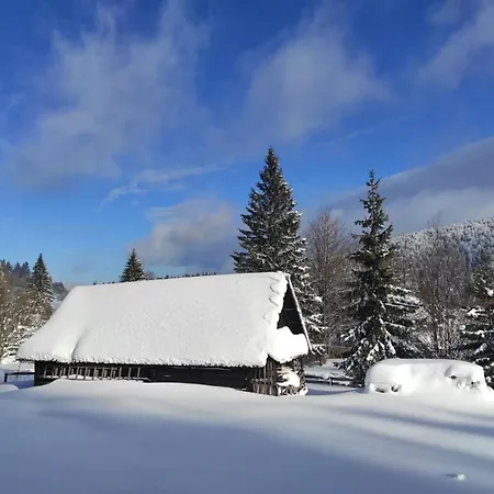 Appartement Nikolica Kuca Mitrovac