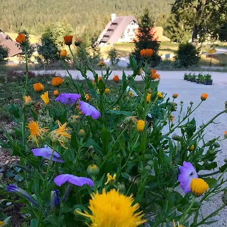 Appartement Nikolica Kuca *