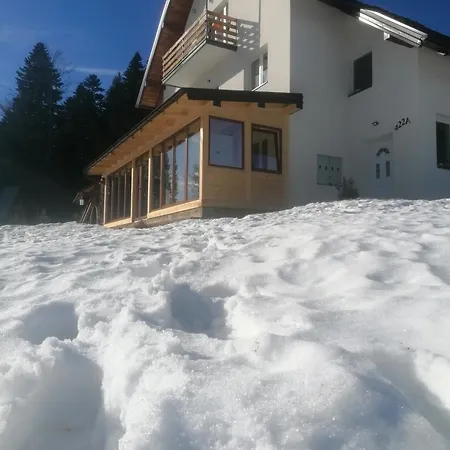 Nikolica Kuca Apartment *