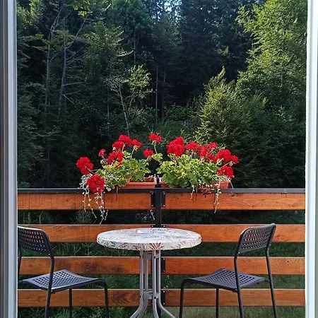 Appartement Nikolica Kuca Mitrovac